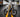 The 79Bike Falcon Pro: Taking the world by storm!