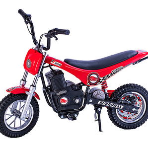 BurroMax TT250 Electric Mini Bike with large aluminum alloy wheels, rear disc brakes, 21" seat height, adjustable handlebars, and heavy-duty steel frame.