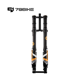 FastAce ALX13RC 2.0 Fork for 79Bike (Full Shot)