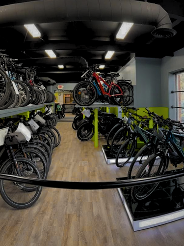 Urban shark top bike shop