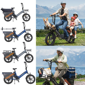 LE20 Cargo Ebike