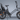 LE20 Cargo Ebike with dual seats, 750W motor, compact design for urban mobility and cargo transportation.