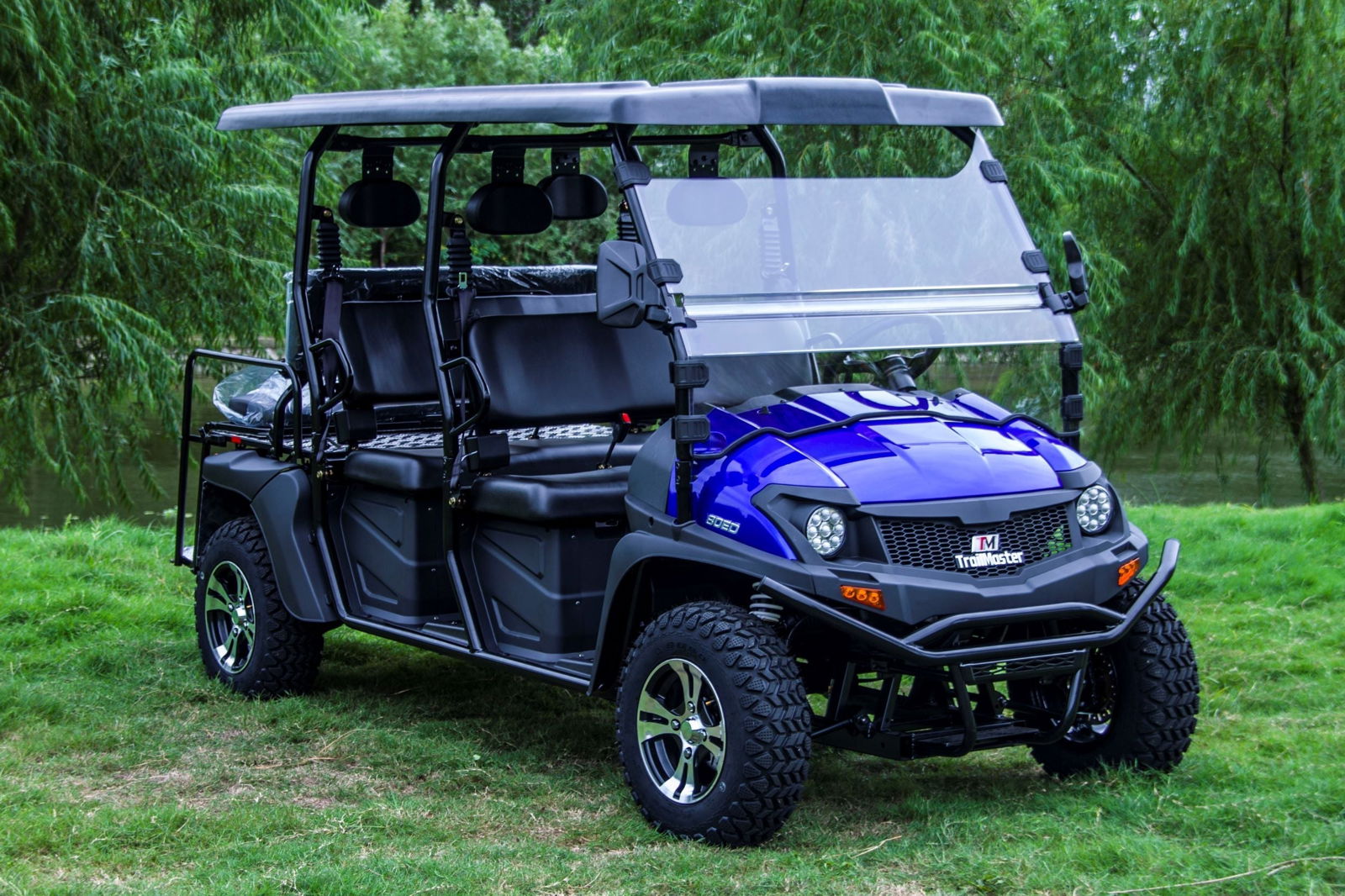 TrailMaster Taurus 80ED-GV electric golf cart with extended roof and 6 seats, shown in blue on grassy terrain, ideal for beach outings.