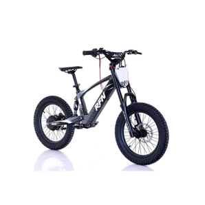 RFN Evo Racing 16 E-Moto