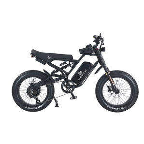 GhostCat F3X 1500W Pro