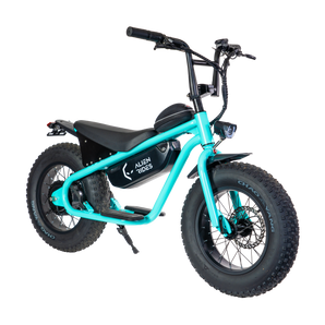 AR Atom 1000 Watt Mini Electric Bicycle